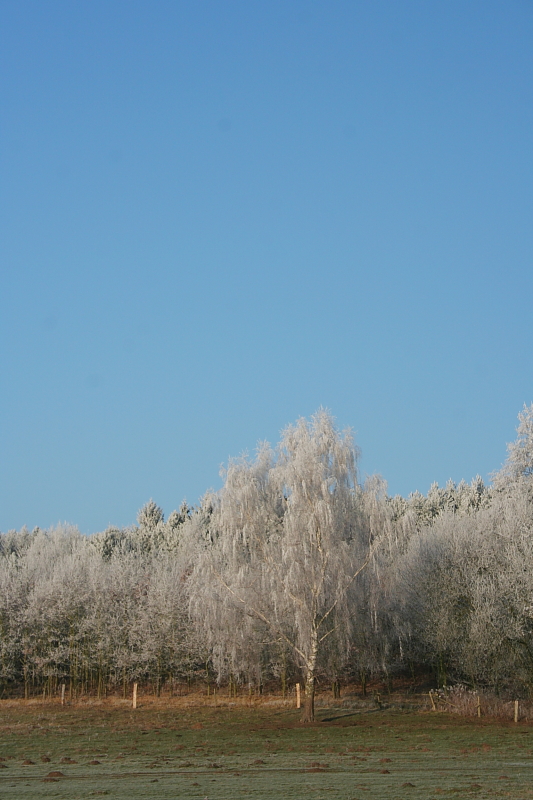 Killikus&reg; Fotographie